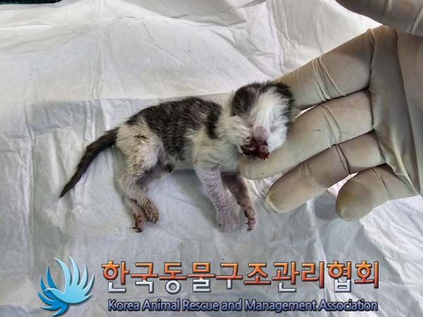 종료(자연사) 한국…